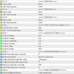 Time Trader EA V3.1(MT4MT5)1