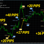 alfa-scalper-usd-cad-m5